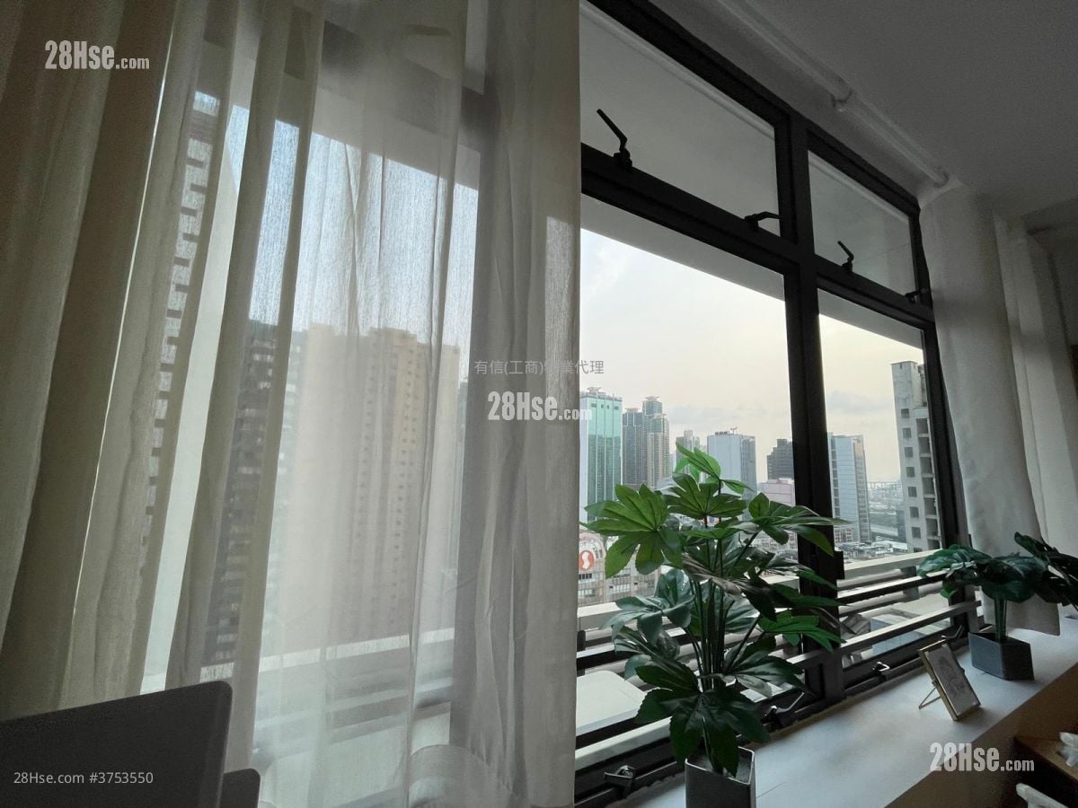 The Globe Rental 1 Toilet