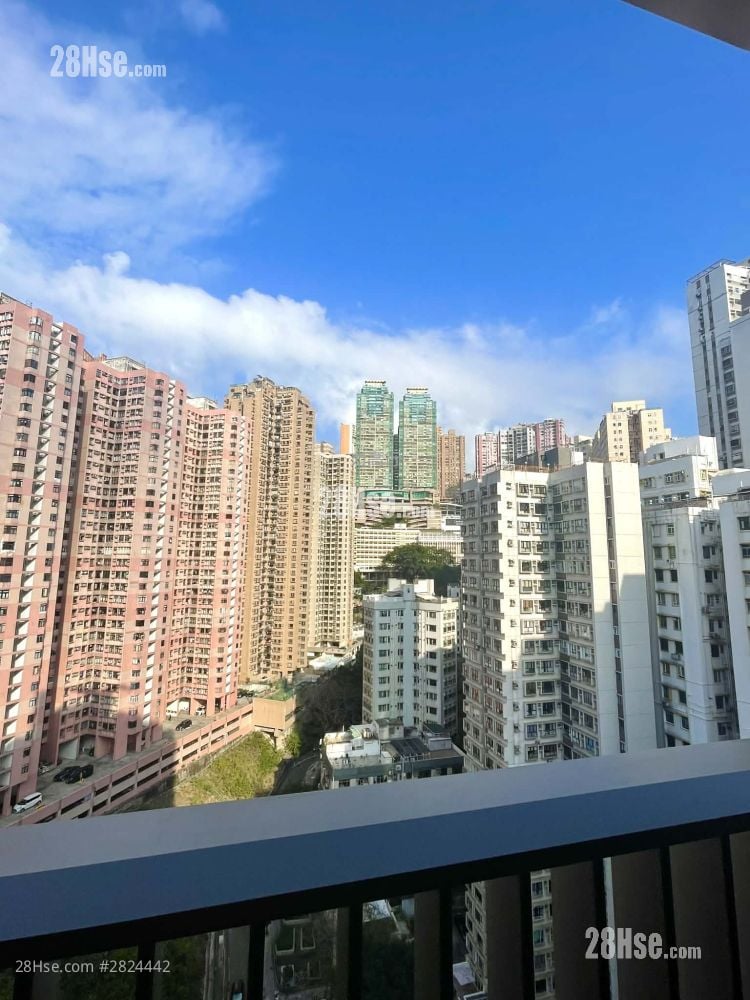 101 Kings Road 租盤 1 房 , 1 浴室 310 平方呎