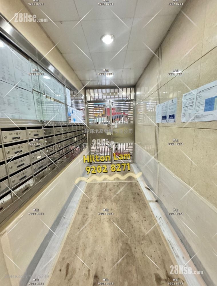 伟晴街36号 售盘 1 房 , 1 浴室 270 平方尺