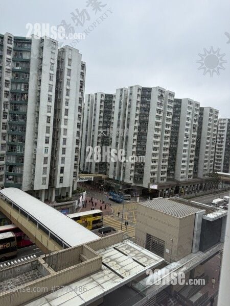 黄埔新村 售盘 3 房 490 平方尺