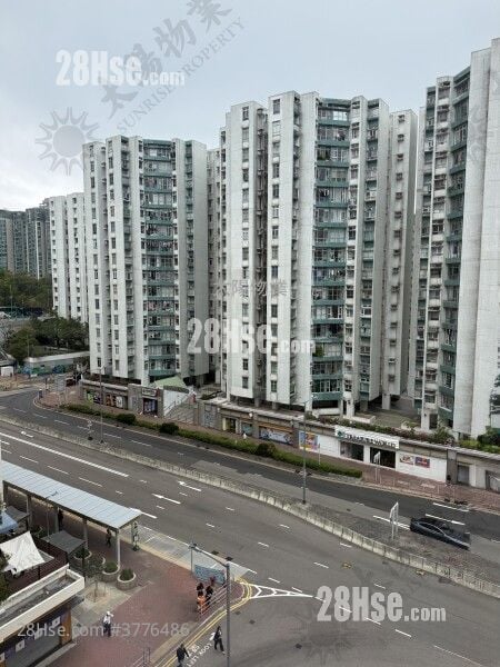 黄埔新村 售盘 3 房 490 平方尺