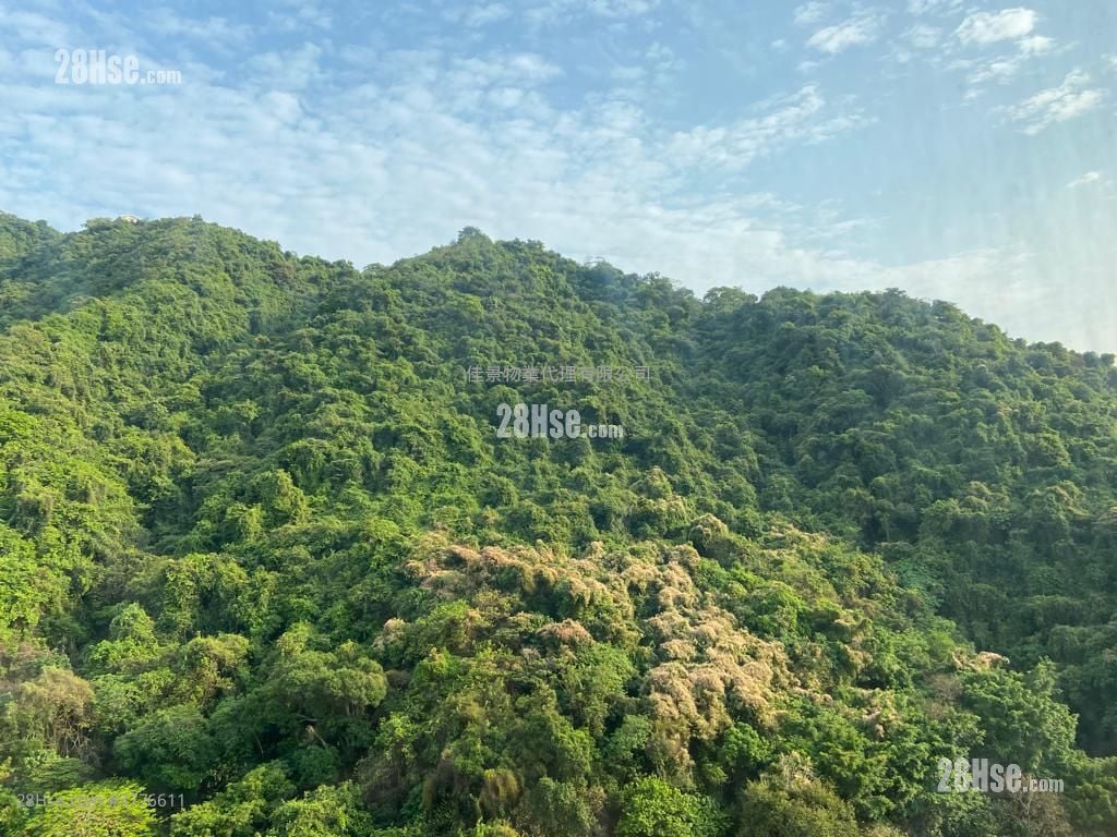 Serene Court Sell 3 Bedrooms , 2 Bathrooms 691 ft²