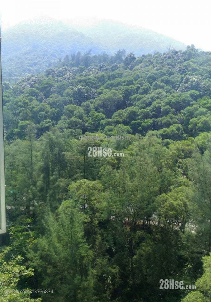 富宝花园 售盘 3 房 , 1 浴室 592 平方尺