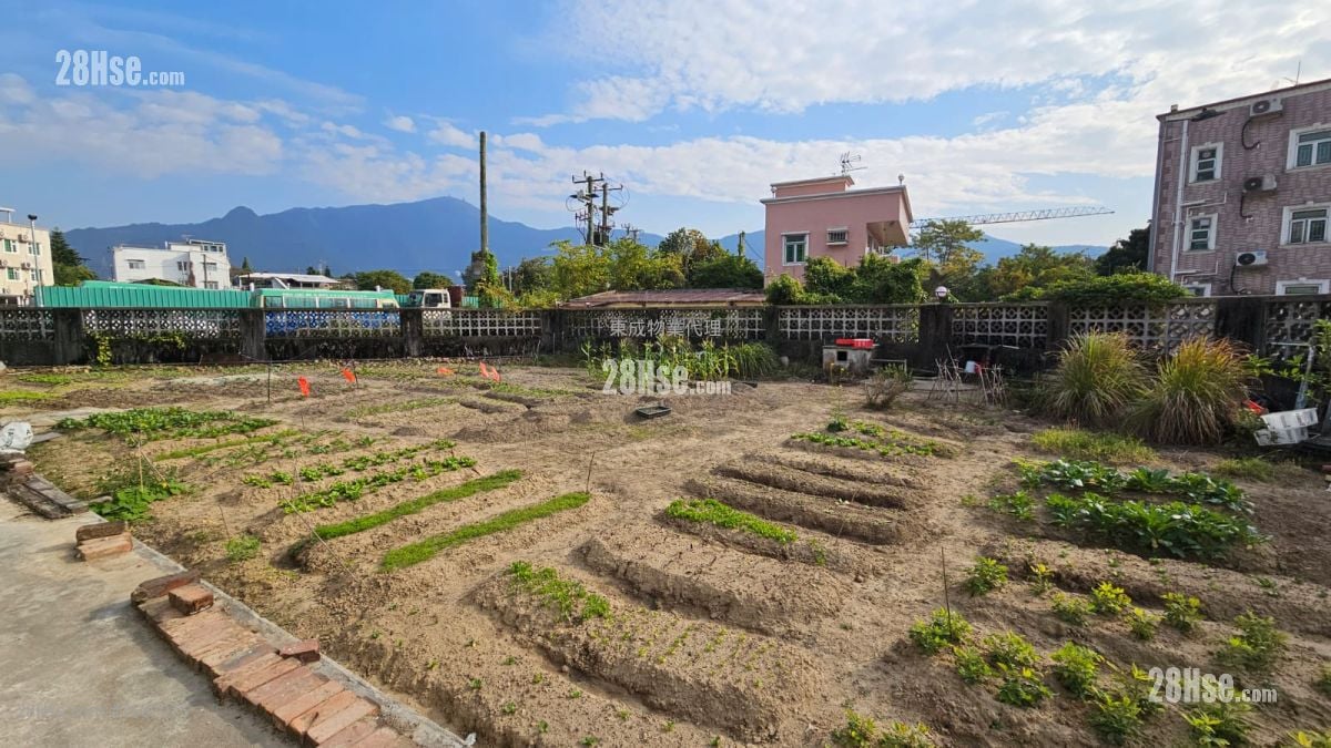 村屋 租盤 3 房 , 1 浴室