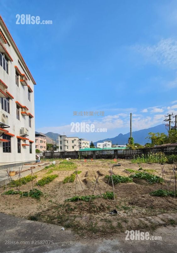 村屋 租盤 3 房 , 1 浴室