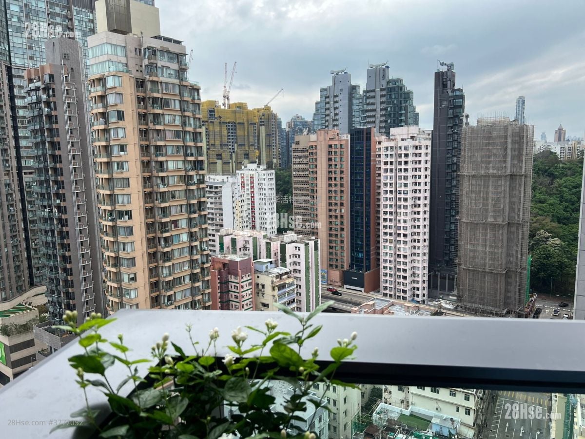 启岸 售盘 268 平方尺