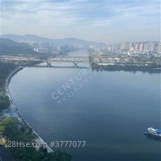 靚盤 Danny 張>>星濤灣專門店 雙連單位( A+B )