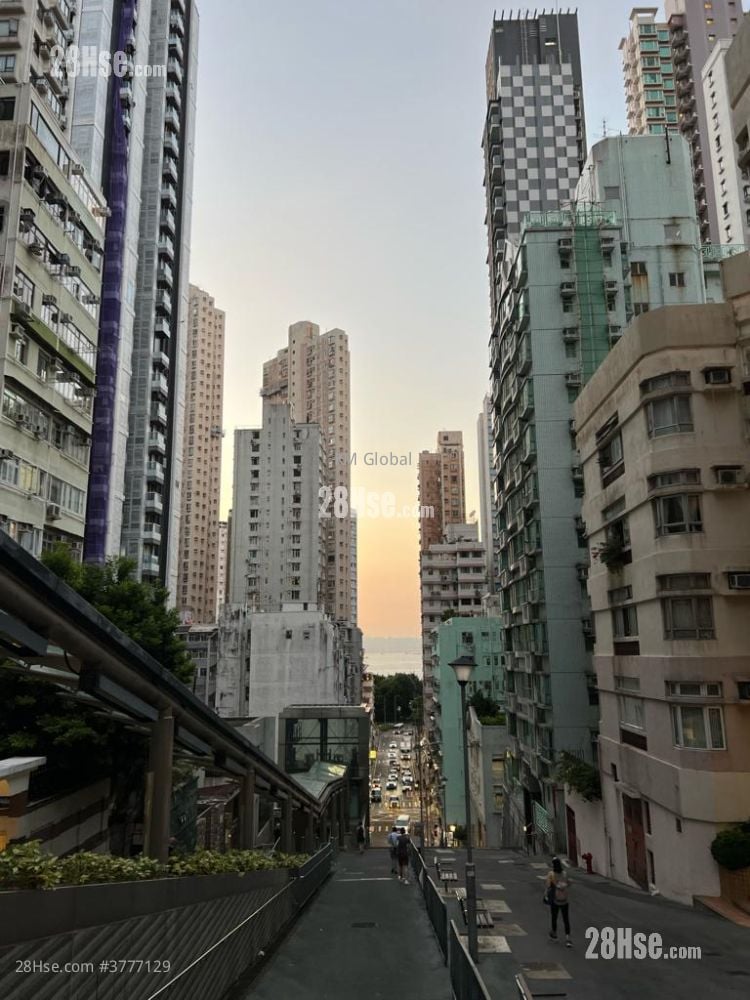 青莲阁 售盘 324 平方尺