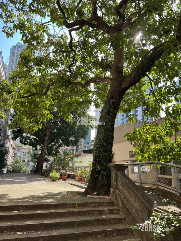 青莲阁 售盘 324 平方尺