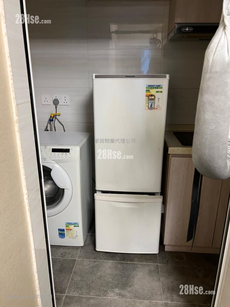 上海街41号 租盘 1 浴室 380 平方尺