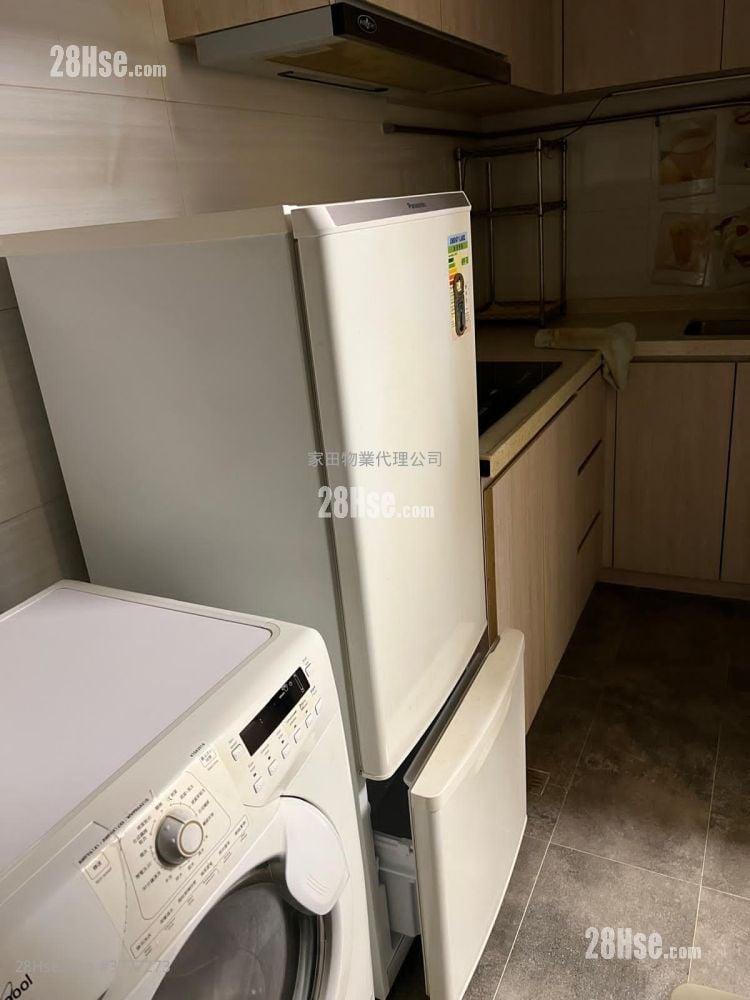 上海街41号 租盘 1 浴室 380 平方尺