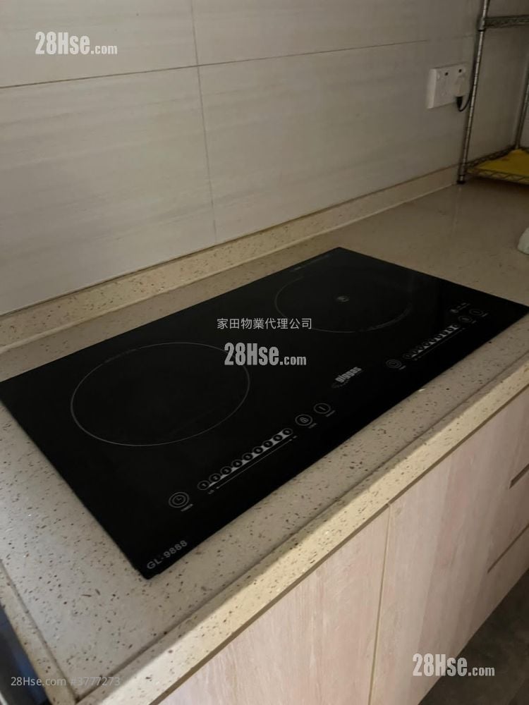 上海街41号 租盘 1 浴室 380 平方尺