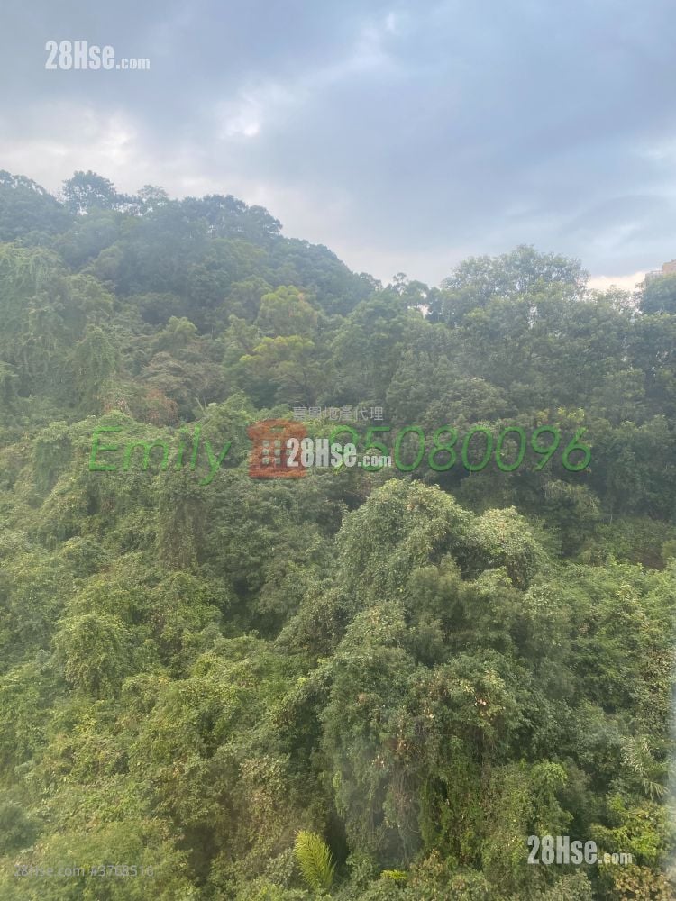 Springfield Garden Sell 1 Bedroom , 1 Bathroom 321 ft²