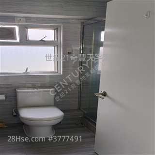 地胆世纪21分店  >>谭 Leo Tam 63050330 晓峰 >>彭Connie Pang 90555387 岚岸 >>陈Jody Chan 98453288 星涛湾 >>余Jacky Yu 94364991 海典湾