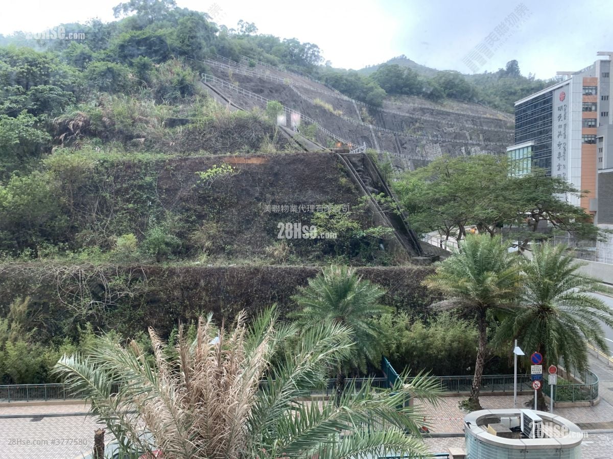 维景湾畔 售盘 2 房 , 1 浴室 503 平方尺