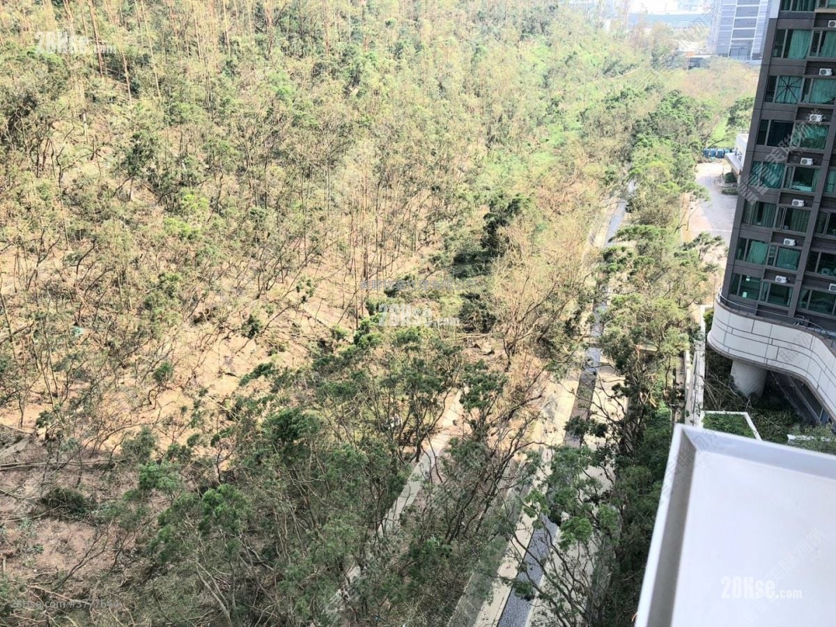 The Beaumount Sell 2 Bedrooms , 1 Bathroom 530 ft²