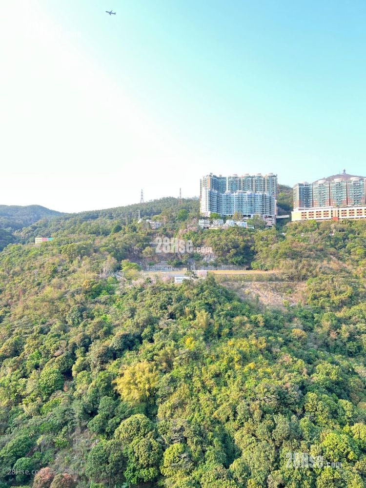 荃湾中心 售盘 324 平方尺