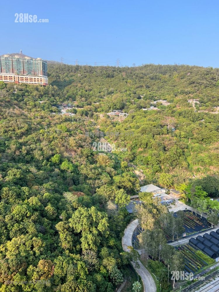 荃湾中心 售盘 324 平方尺