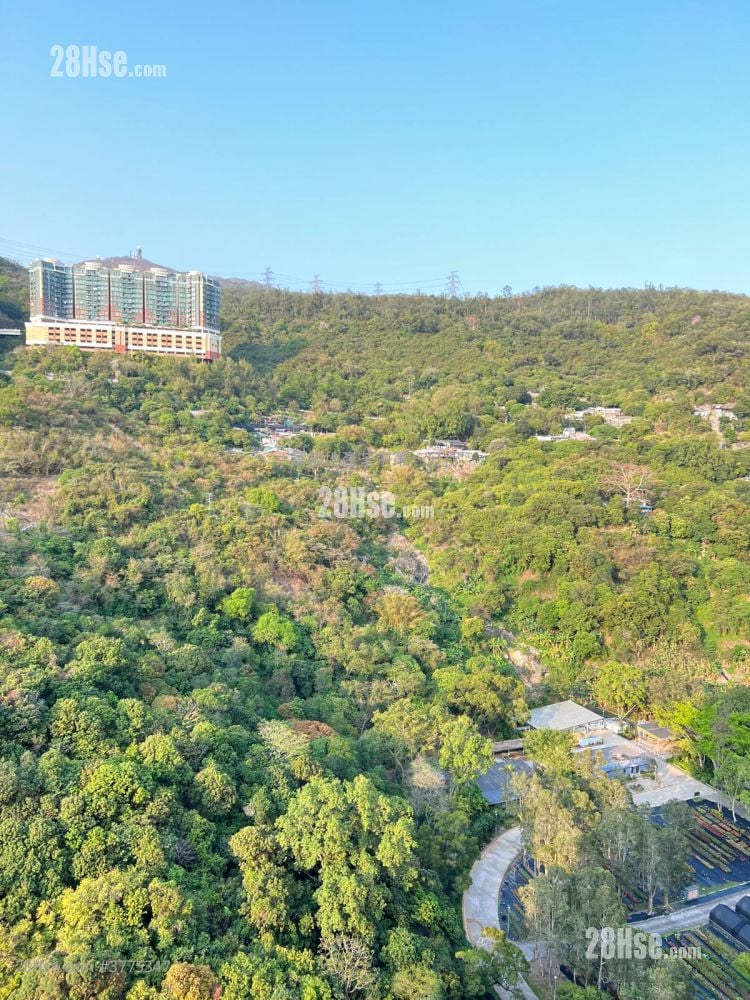 荃湾中心 售盘 324 平方尺