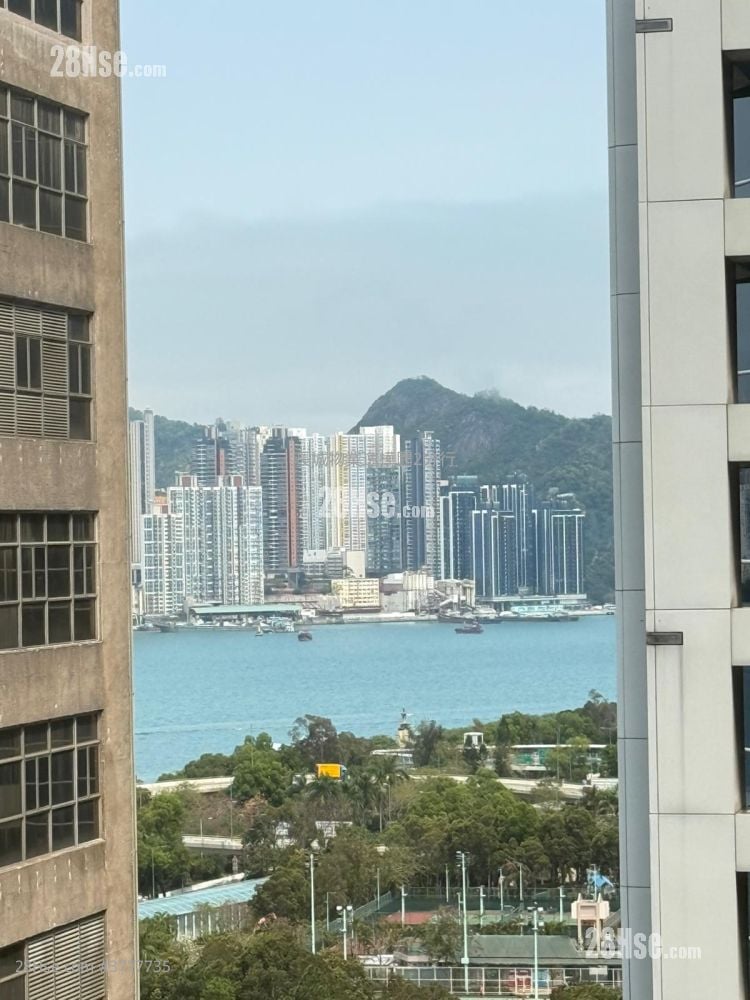 嘉荣大厦 租盘 2 房 , 1 浴室 325 平方尺