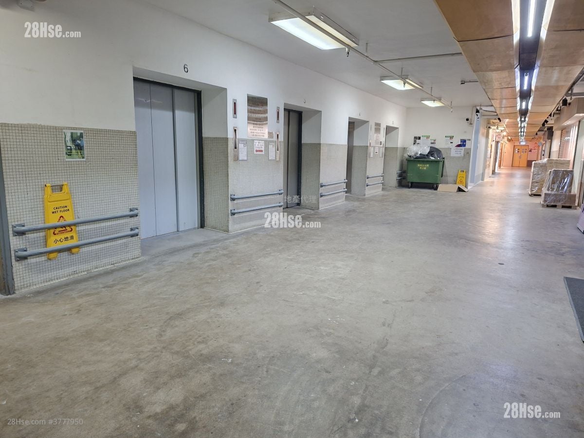 Camel Paint Building Rental