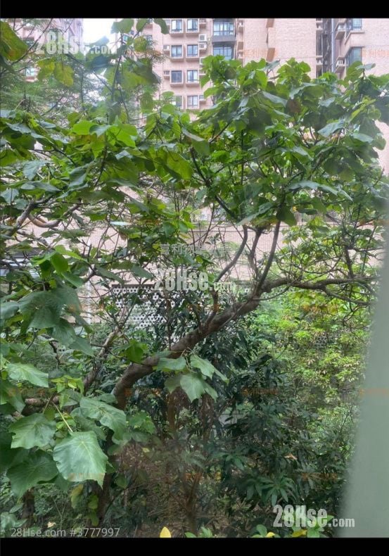 Summer Court Rental 3 Bedrooms , 2 Bathrooms 765 ft²