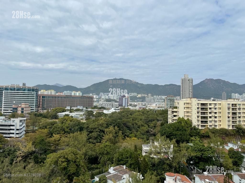 Kadoorie Lookout Sell 3 Bedrooms , 2 Bathrooms 960 ft²
