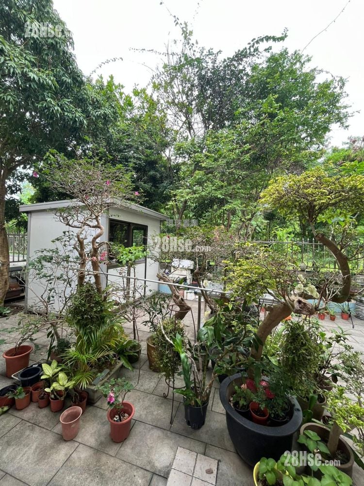 村屋 售盘 5+ 房