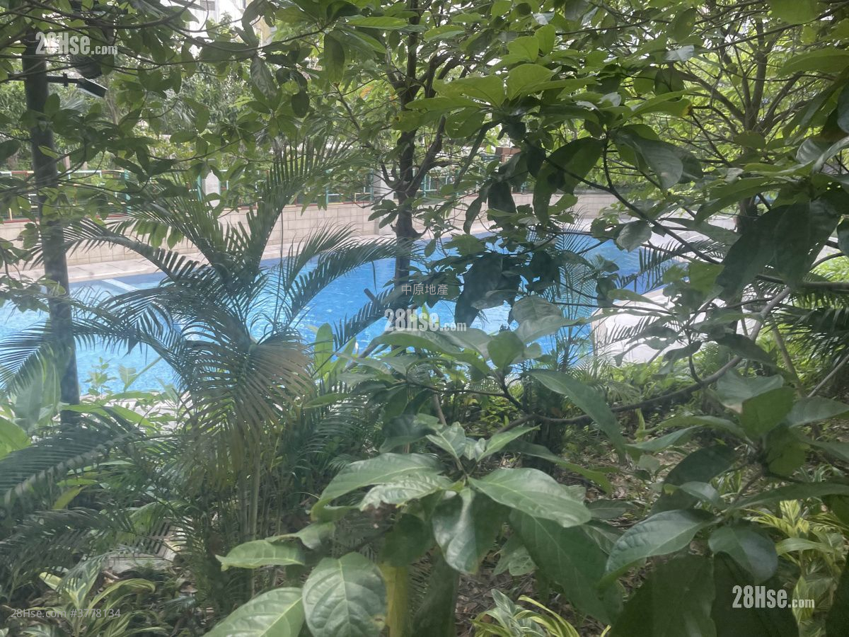 映日湾 售盘 开放式间隔 , 1 浴室 218 平方尺