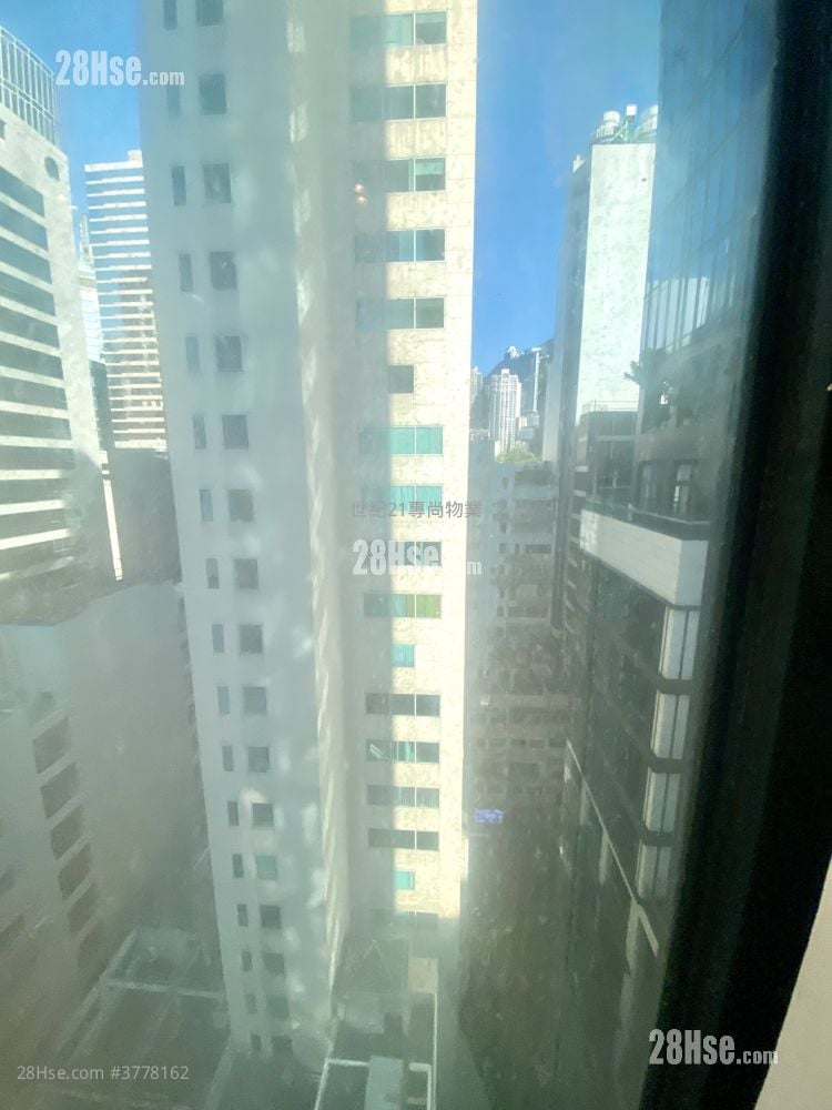 德己立街21号 租盘