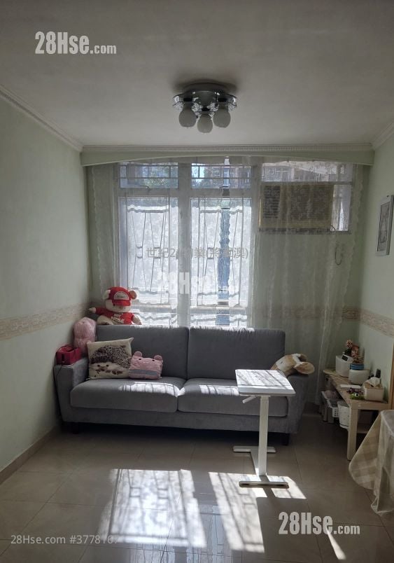 广明苑 售盘 3 房 646 平方尺