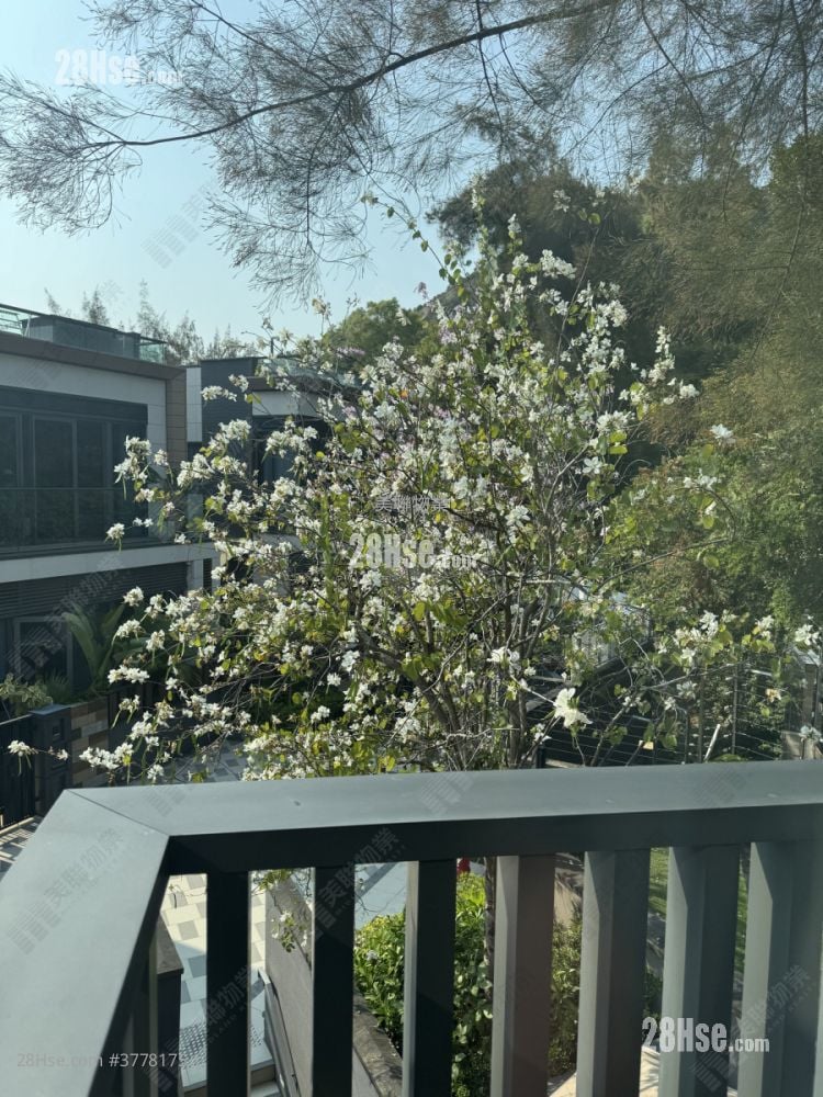 The Bloomsway Rental 3 Bedrooms , 3 Bathrooms 1,884 ft²