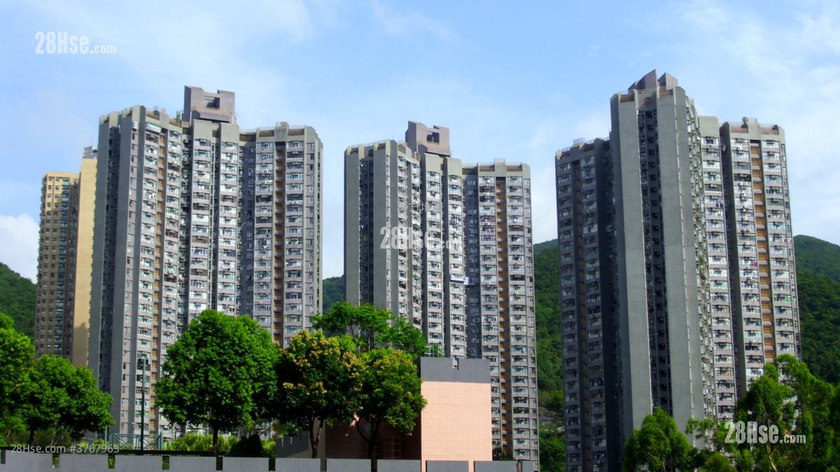 广林苑 售盘 3 房 , 1 浴室 543 平方尺