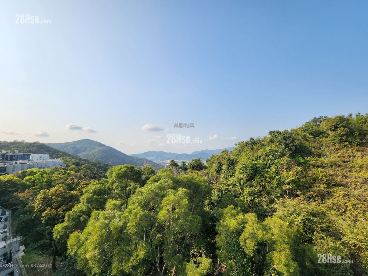 景观: 澐沣 售盘 4 房 , 4 浴室 1,790 平方尺