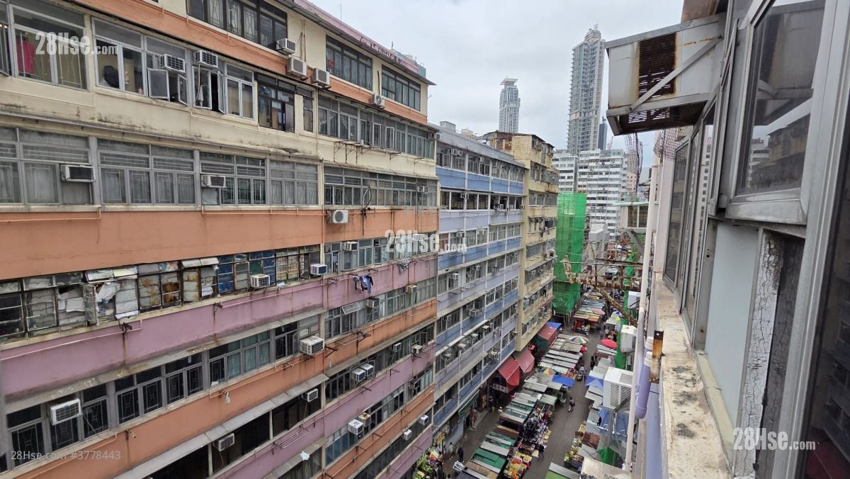 金庆楼 售盘 5+ 房 , 5+ 浴室 659 平方尺