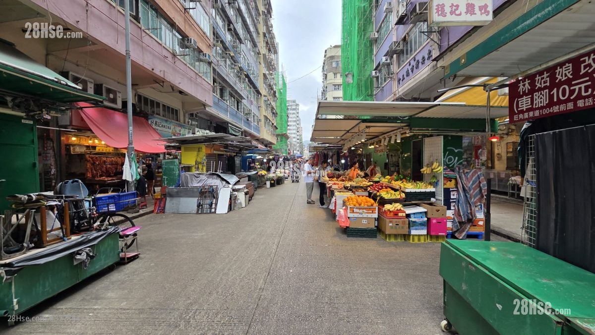 金庆楼 售盘 5+ 房 , 5+ 浴室 659 平方尺