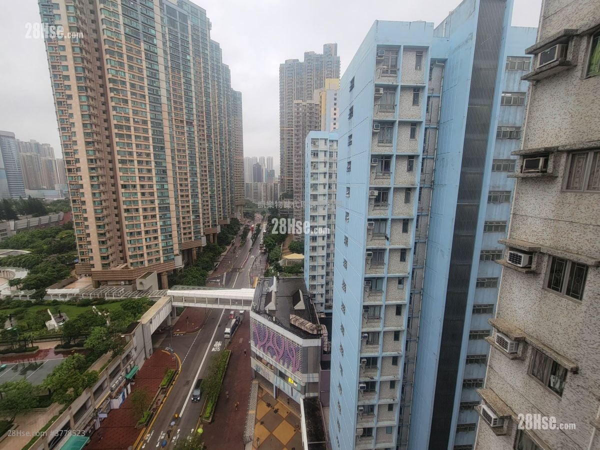 Charming Garden Sell 592 ft²