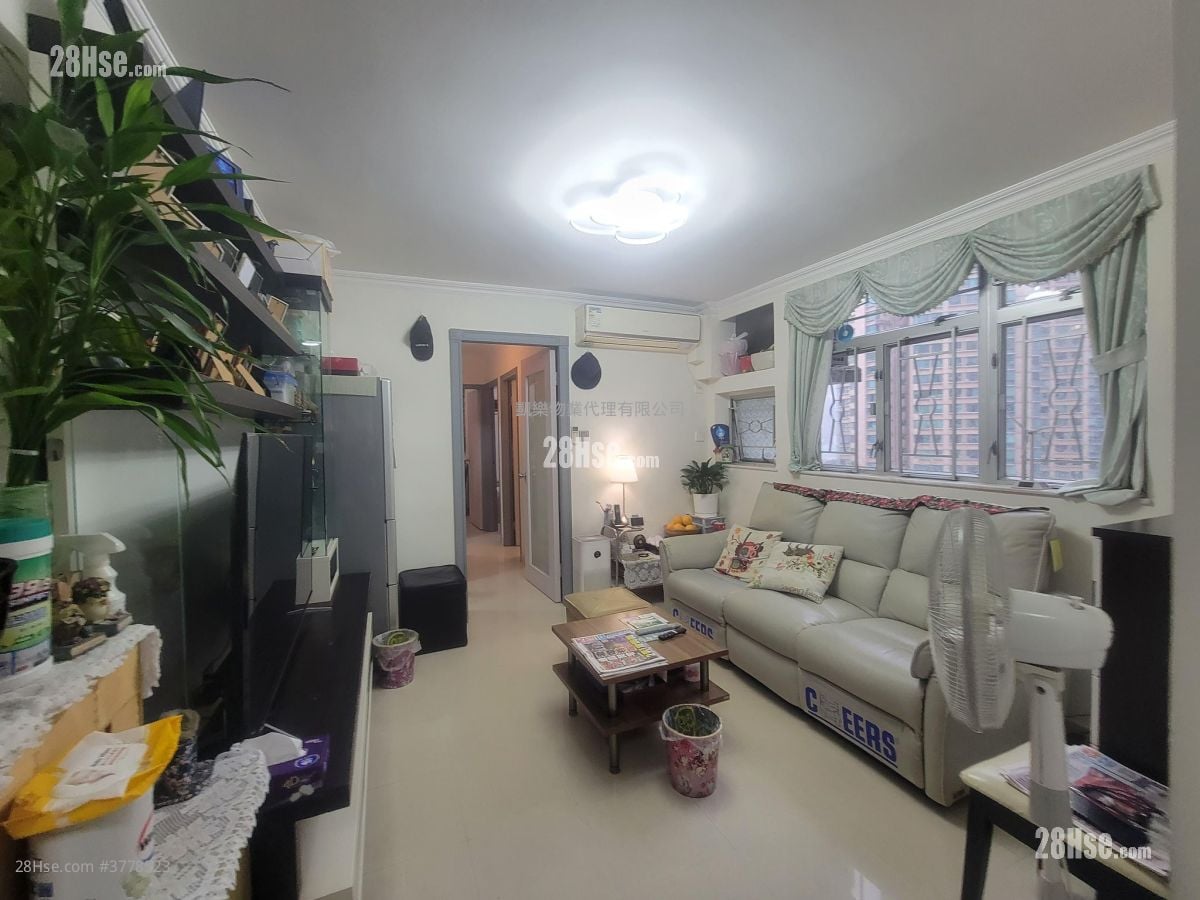 Charming Garden Sell 592 ft²