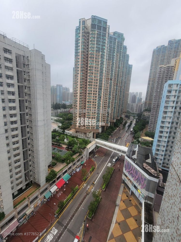 Charming Garden Sell 592 ft²