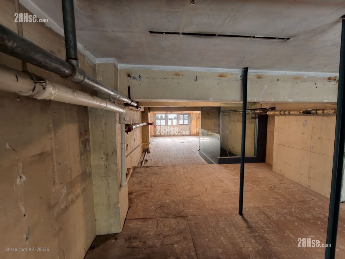 48 Morrison Hill Road Rental