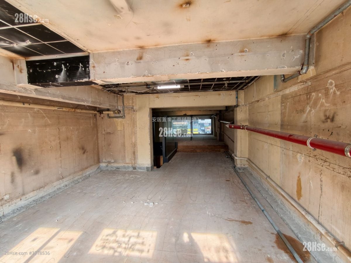 48 Morrison Hill Road Rental