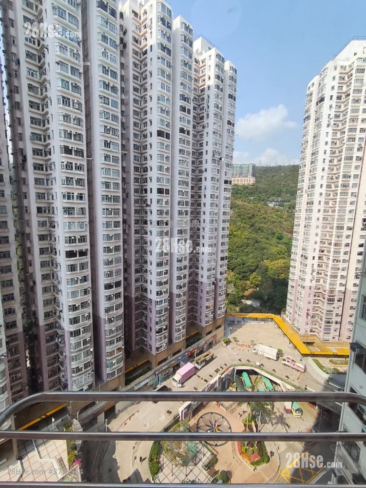 荃湾中心 租盘 2 房 , 1 浴室 324 平方尺