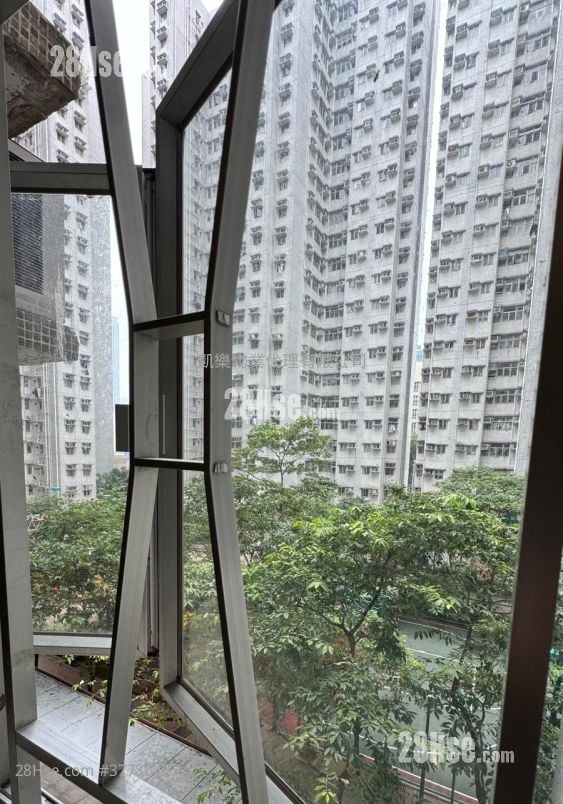 Charming Garden Sell 592 ft²