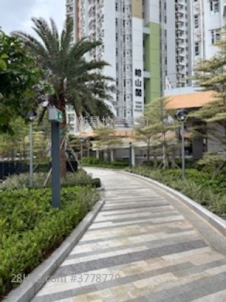 Shan Lai Court Sell Studio , 1 Bathroom 287 ft²