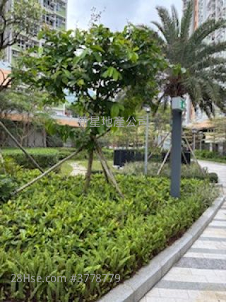 Shan Lai Court Sell Studio , 1 Bathroom 287 ft²