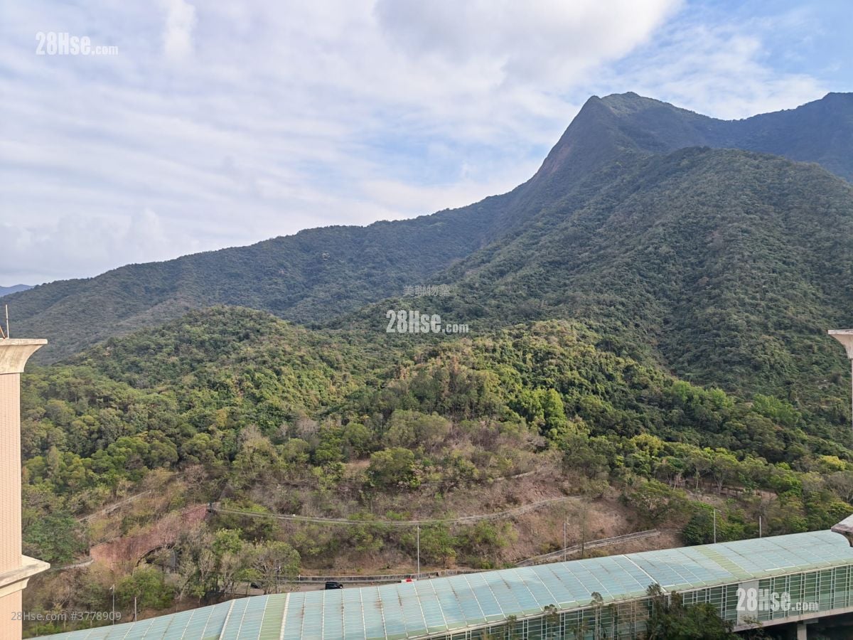 Monte Vista Sell 2 Bedrooms , 1 Bathroom 521 ft²