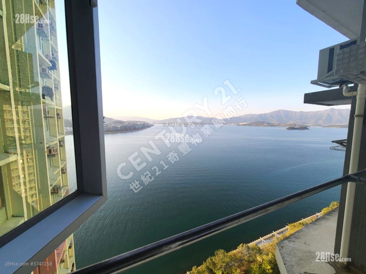 歡迎綠表白居二