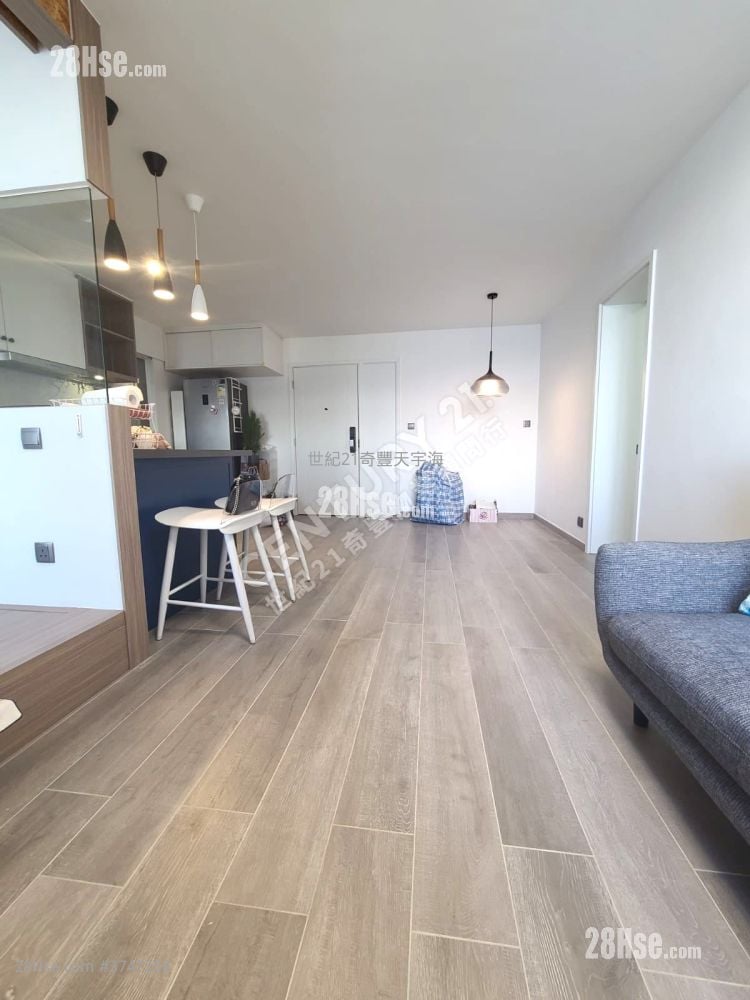 Jimmy豆生 63460809