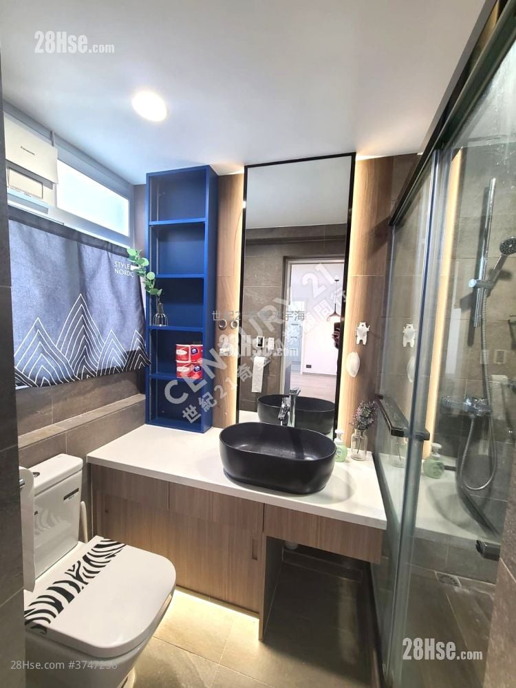 歡迎綠表白居二