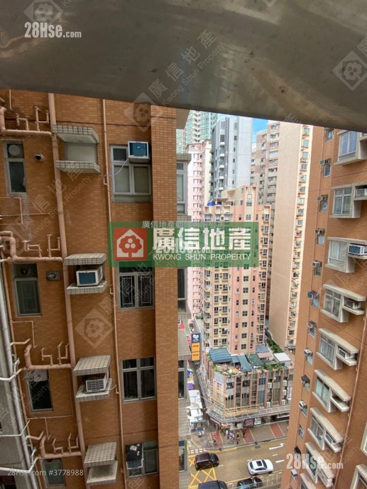 鸿光大厦 售盘 3 房 , 1 浴室 452 平方尺